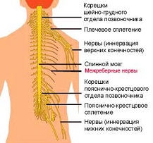 Межреберная невралгия