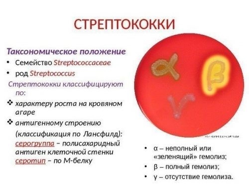 Хронический гломерулонефрит с мочевым синдромом лечение