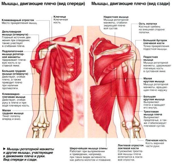 Лечение болевого синдрома плечевого сустава